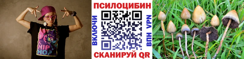 Галлюциногенные грибы прущие грибы  Среднеколымск 